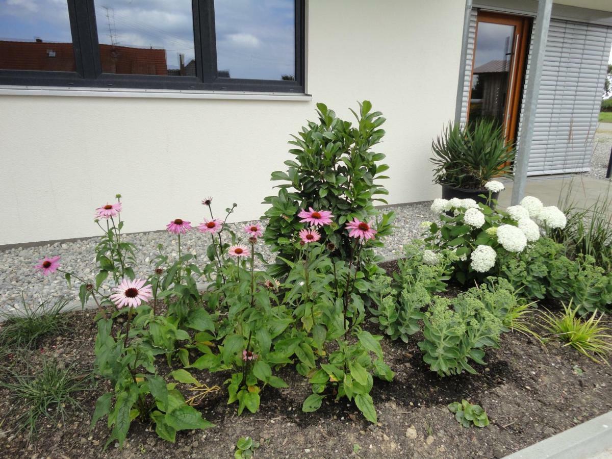 Gasthof Reiterstuben Hosskirch Bagian luar foto